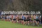 Senior Men, 2024 CAU Inter Counties Cross Country Champs., Wollaton Park, Nottingham. Photo: David T. Hewitson/Sports for All Pics